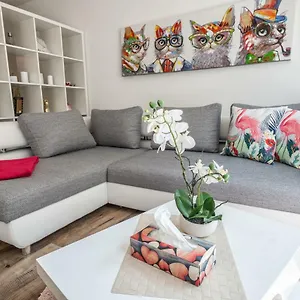 Moderne Souterrain-wohnung Apartment